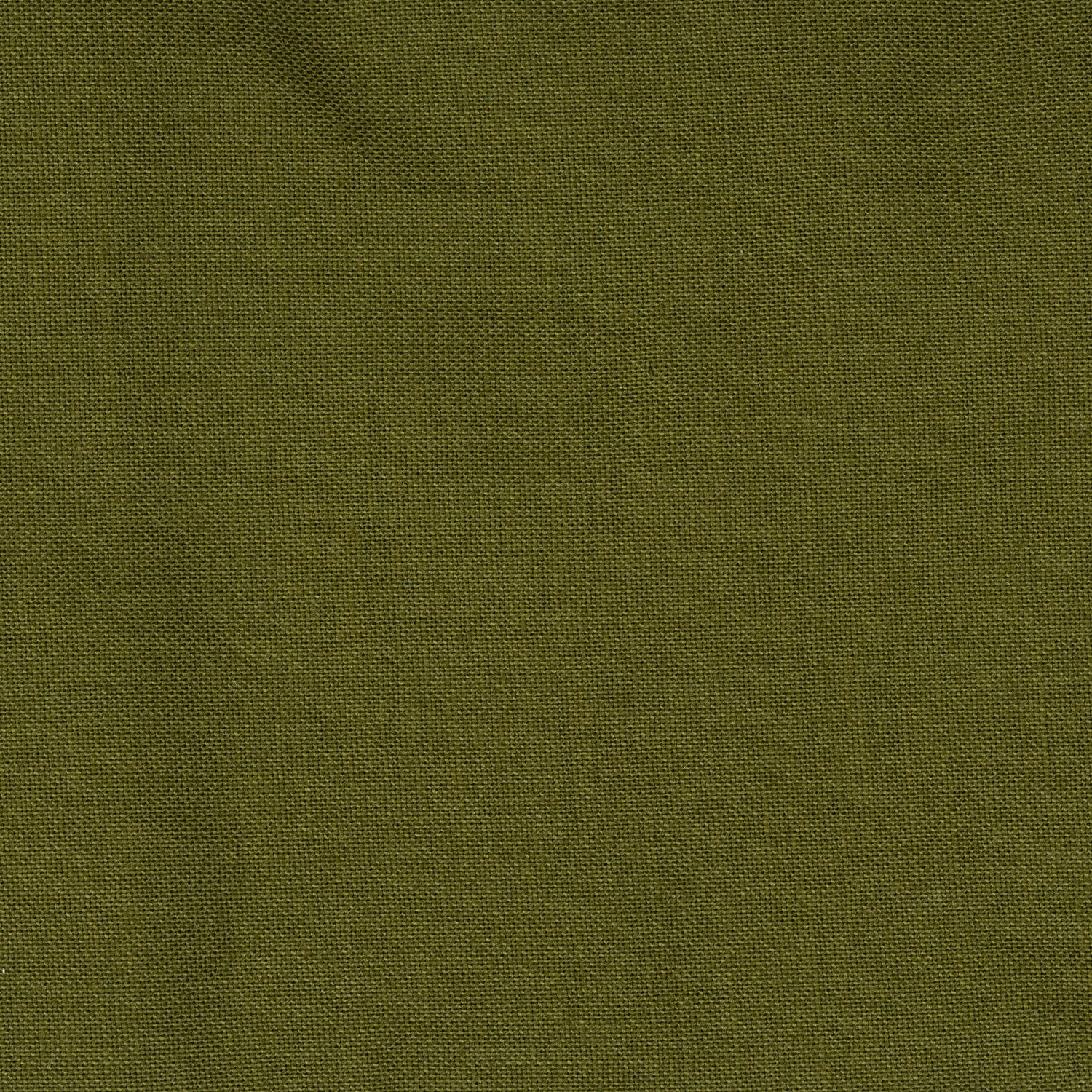 avocado green swatch of fabric