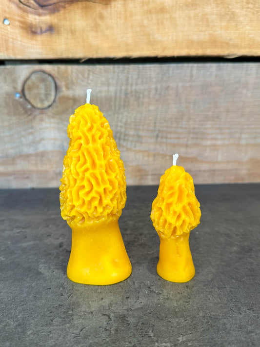 Morel Mushroom Beeswax Candle by B Factory