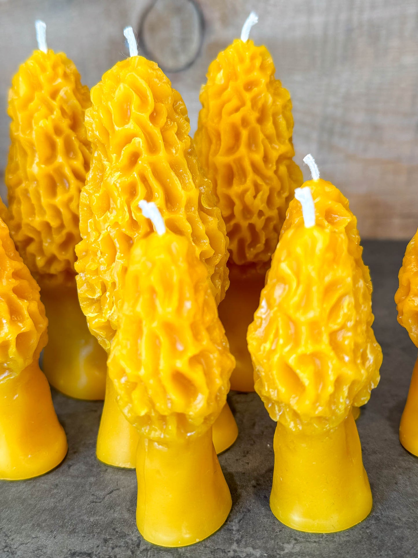 Morel Mushroom Beeswax Candle by B Factory