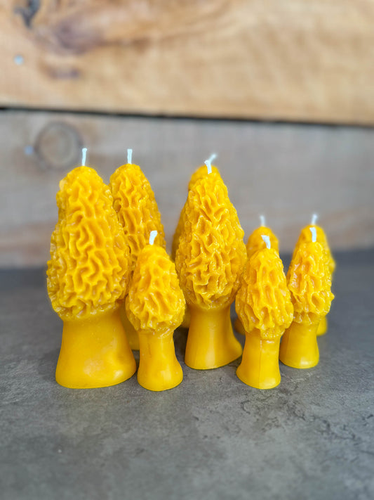 Morel Mushroom Beeswax Candle by B Factory