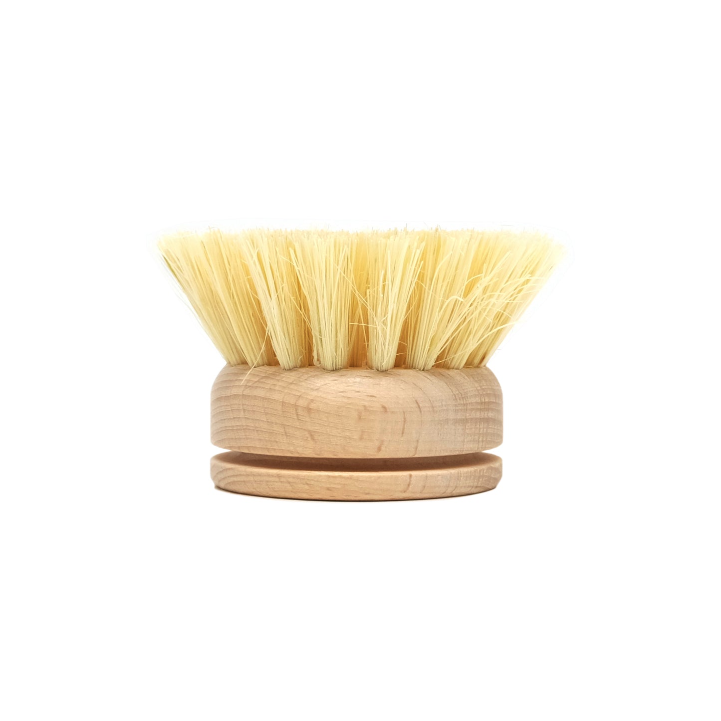 Dish brush head with sisal fiber bristles
