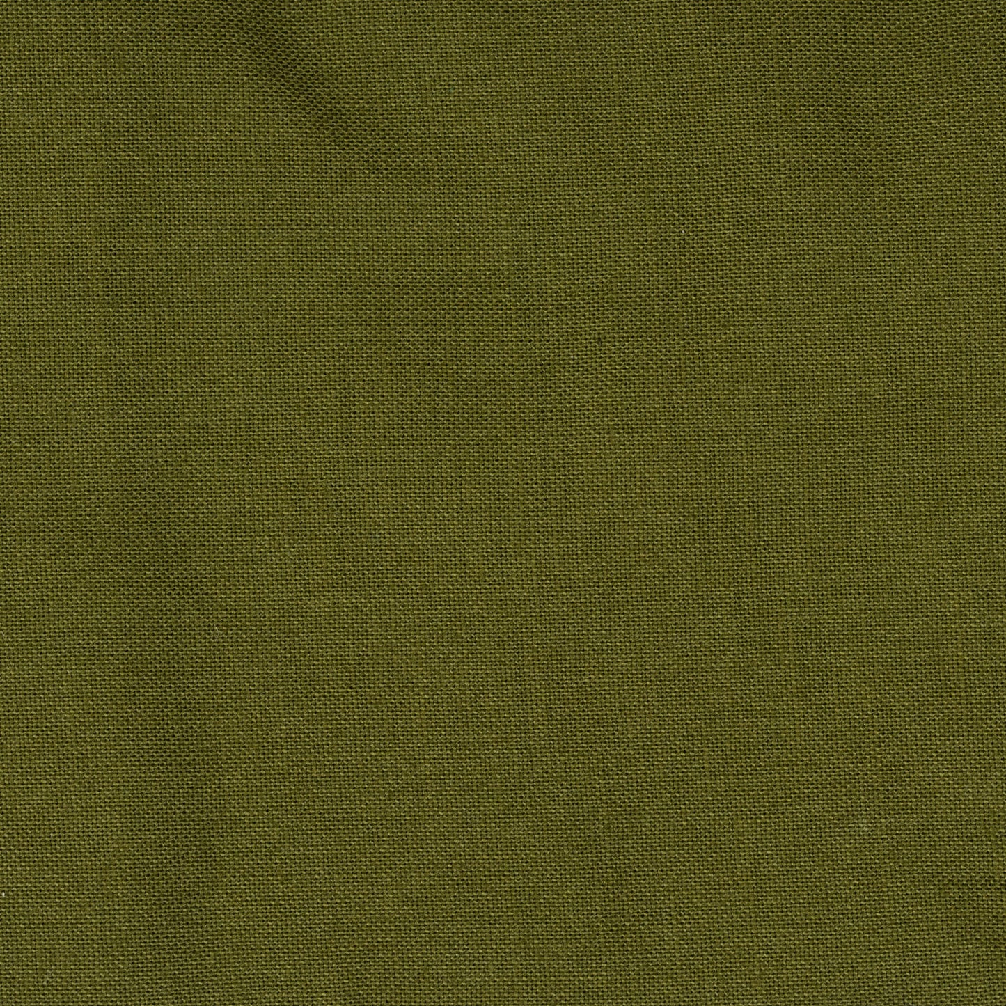 avocado green swatch of fabric