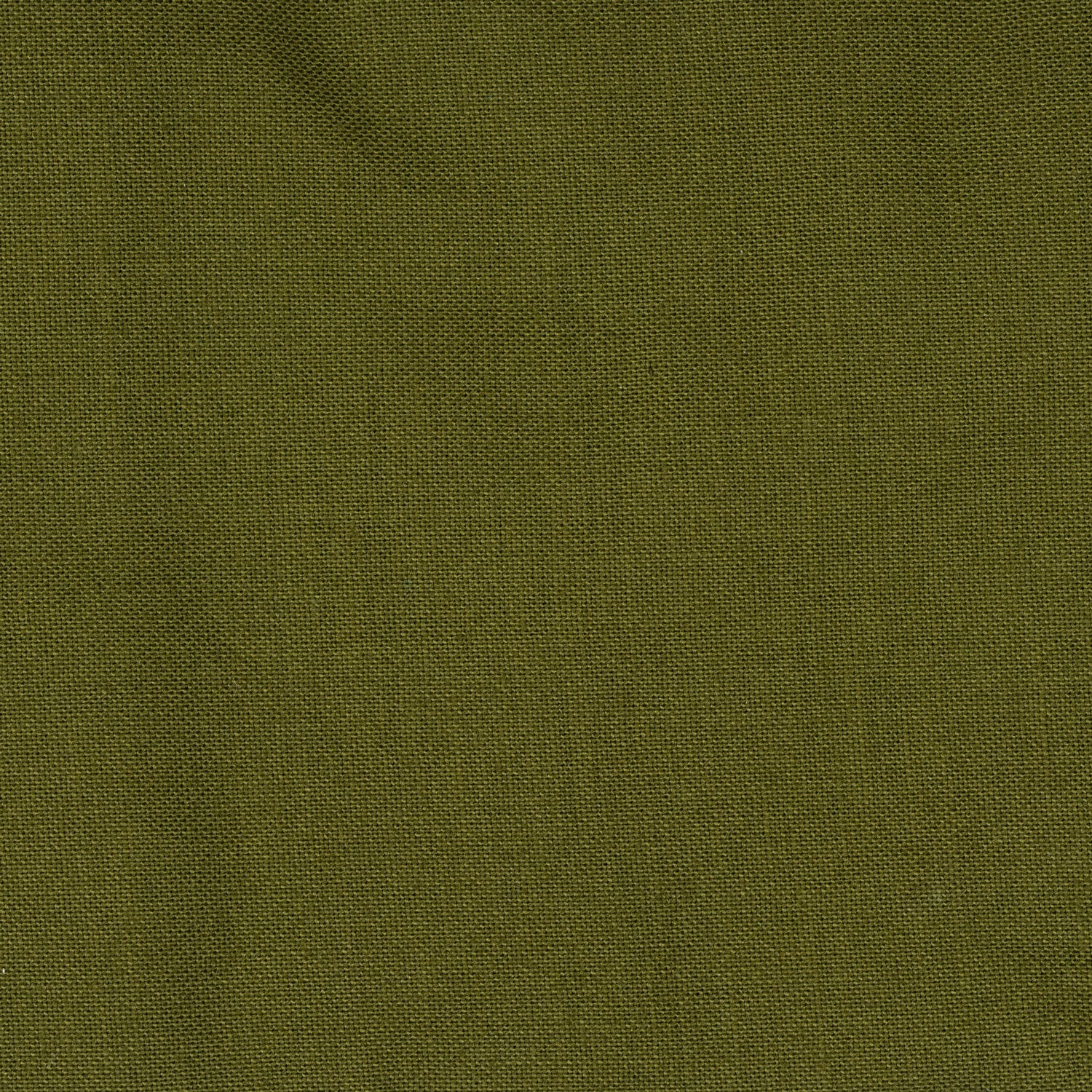 avocado green swatch of fabric