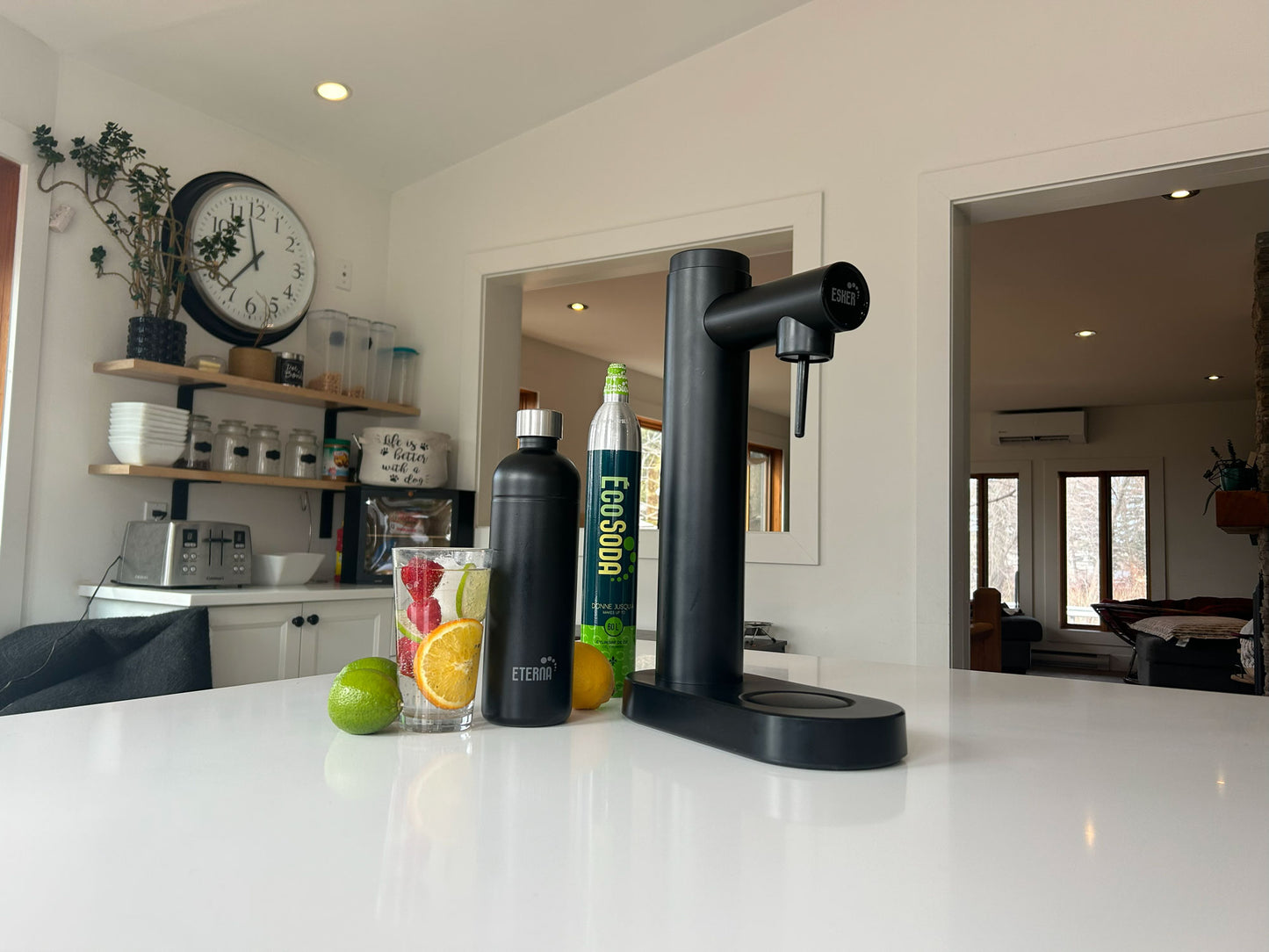Black soda dispenser with EcoSoda Co2 canister and Eterna black stainless steel bottle on a kitchen counter with drinks and fruit