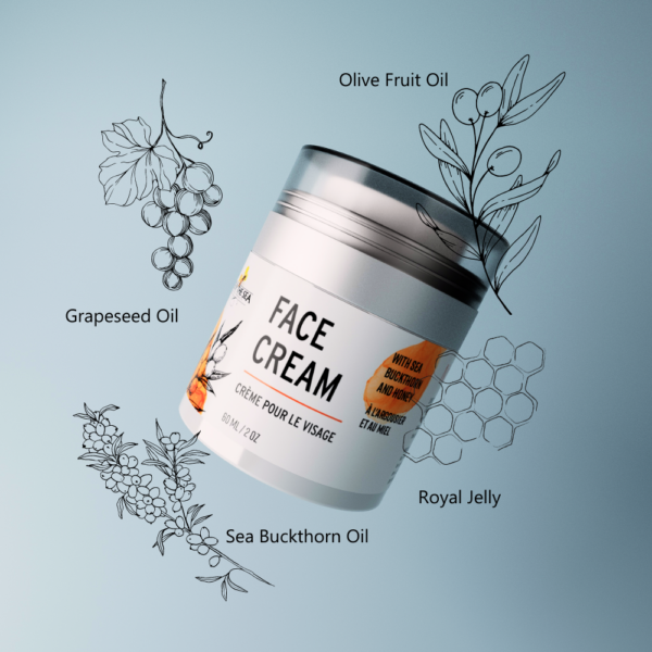 A jar of Bee by the See Face cream floats on a pale blue background. Sketches of ingredients surround the jar
