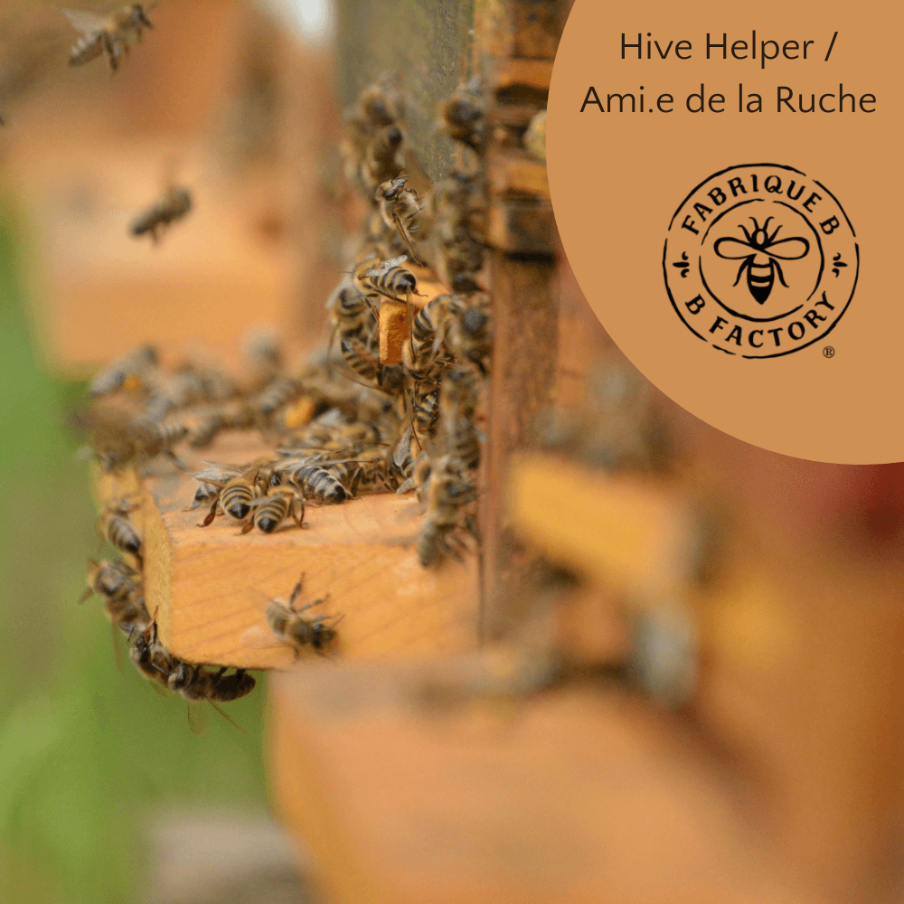 A closeup of bees outside of a hive entrance
