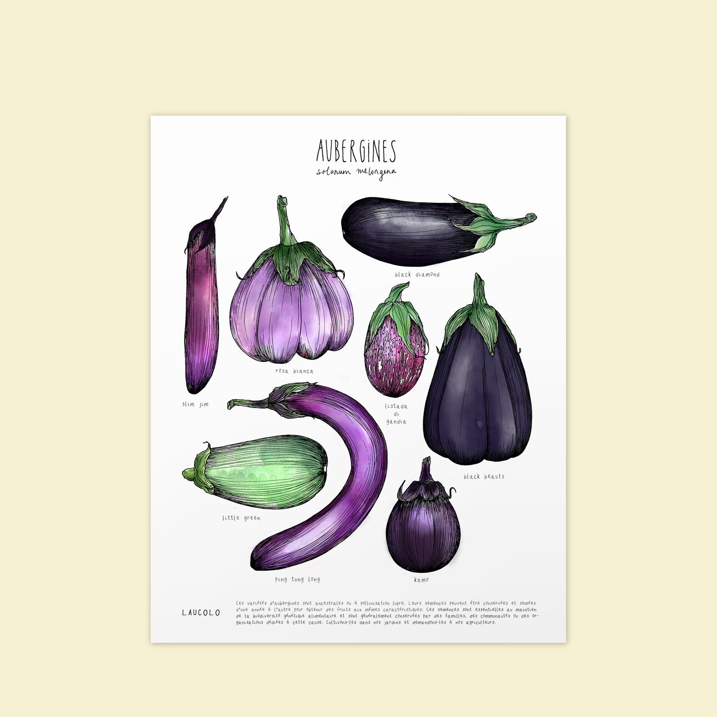 Eggplant illustration poster by Laucolo