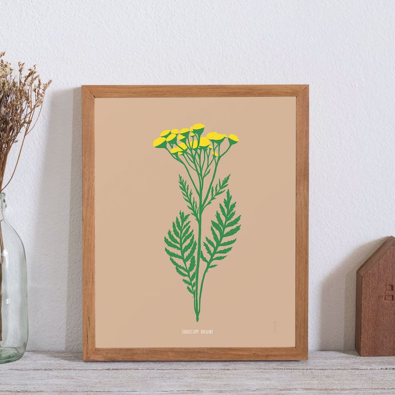 Graphic drawing of a branch of tansy plant on a beige background by Laucolo