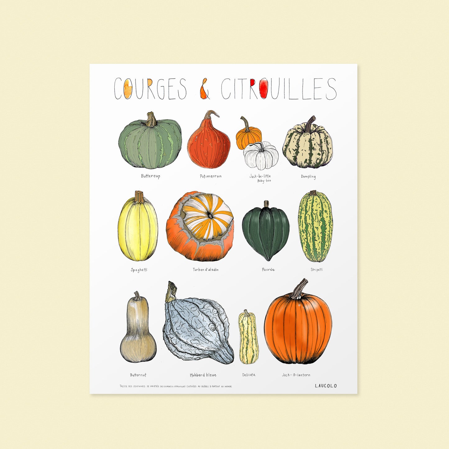 Pumpkins and gourds illustration poster by Laucolo