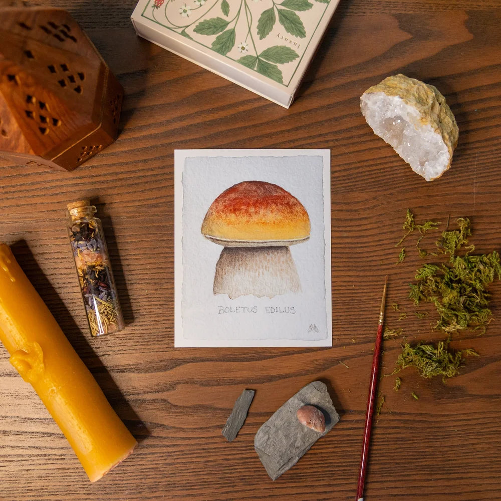 Wild Mushroom Cards by Mirella Bacco
