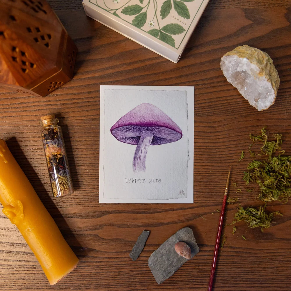Wild Mushroom Cards by Mirella Bacco