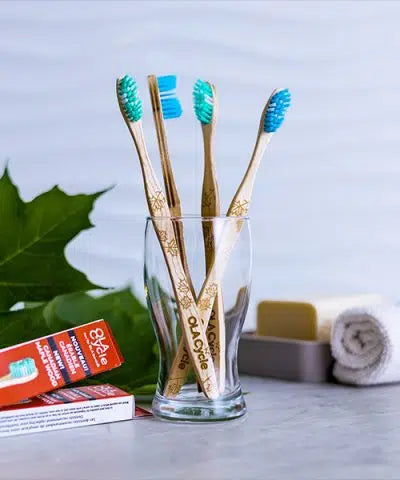 Clear glass with 4 maple wood handled toothbrushes "OLA Cycle" set inside, with a towel, soap, green leaves and the toothbrush box in the background