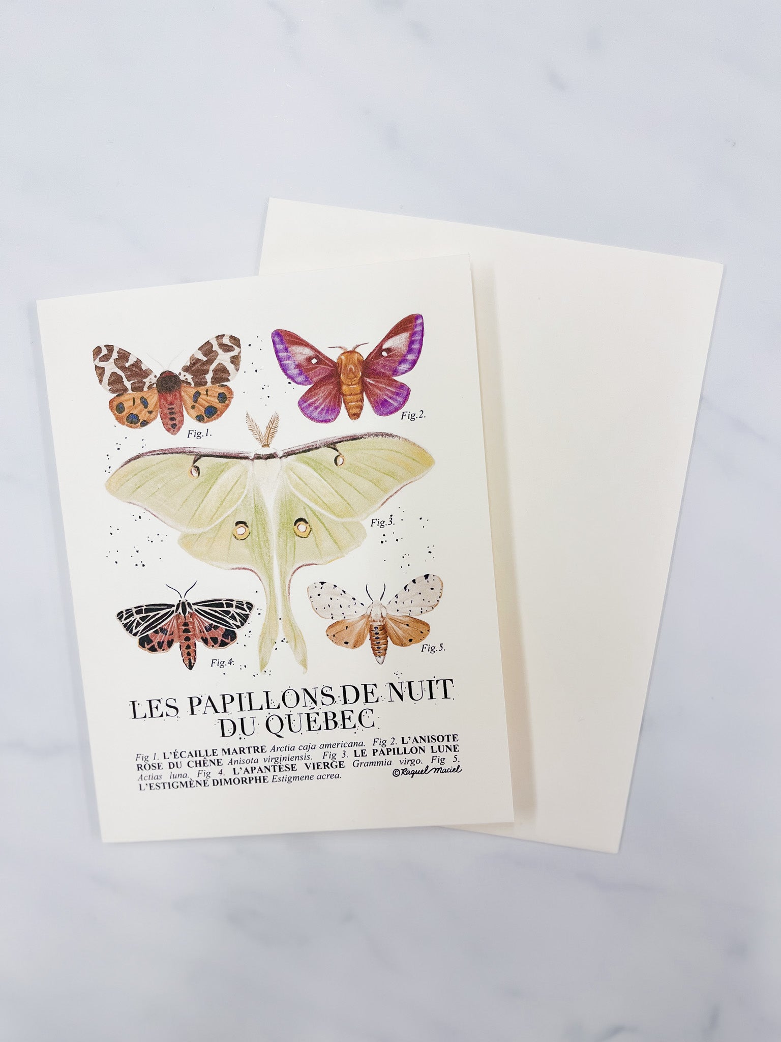 Beige card with illustrations of Quebec moths and matching beige envelope