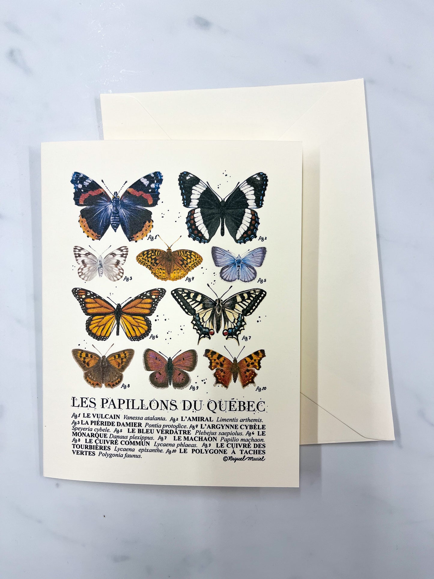 Beige card and envelope with "Les Papillons du Quebec" along with illustrations of 10 different varieties of butterflies