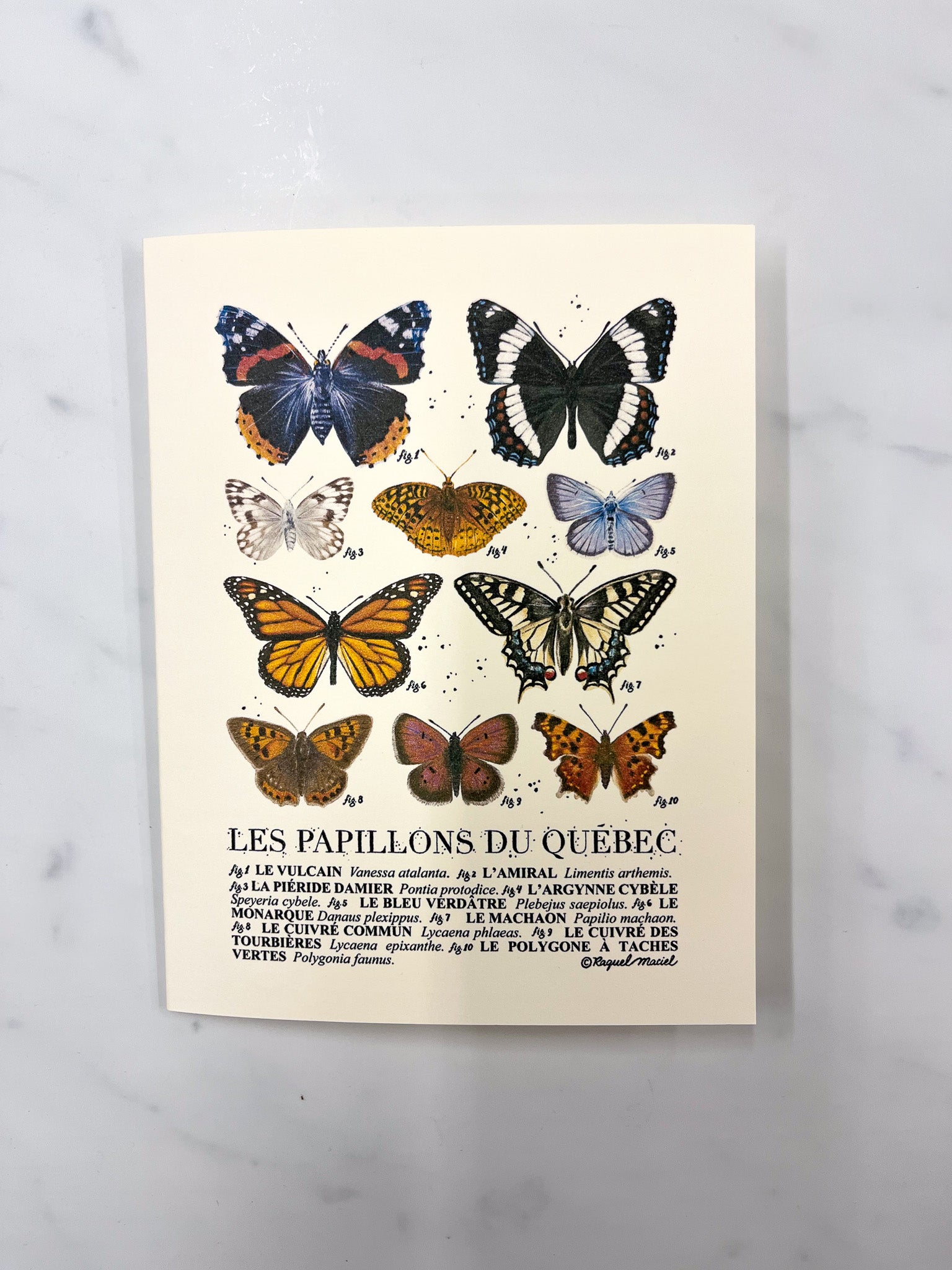 Beige card with "Les Papillons du Quebec" along with illustrations of 10 different varieties of butterflies