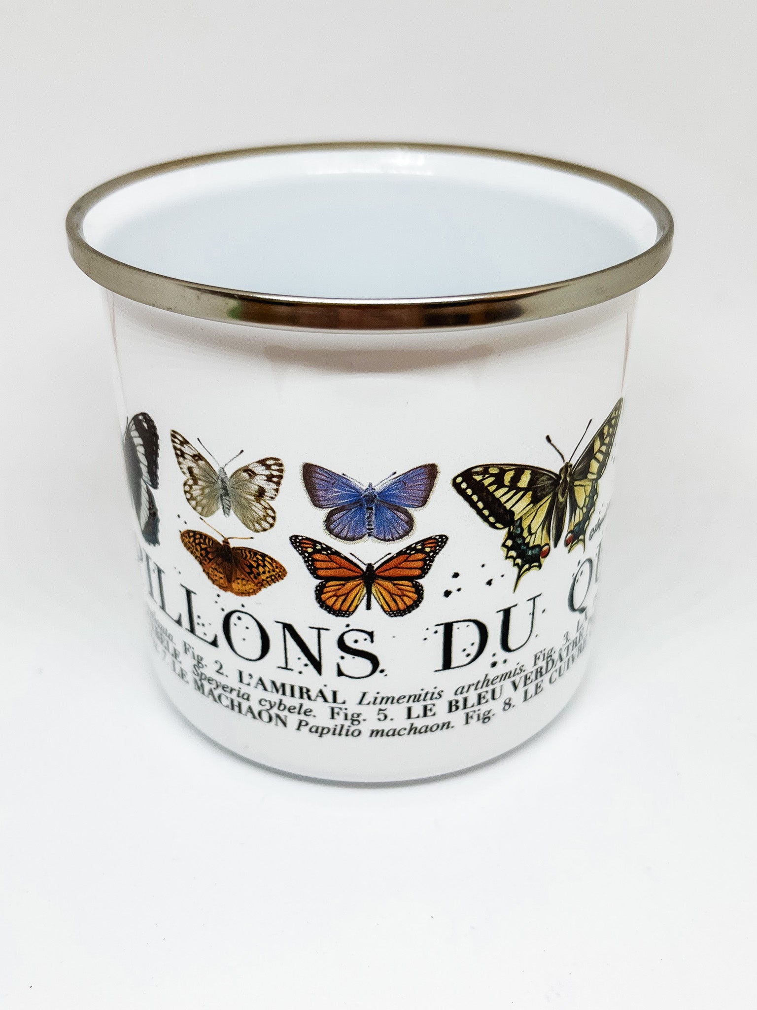 White enamel mug with silver rim and illustrations of butterflies with text below identifying each butterfly