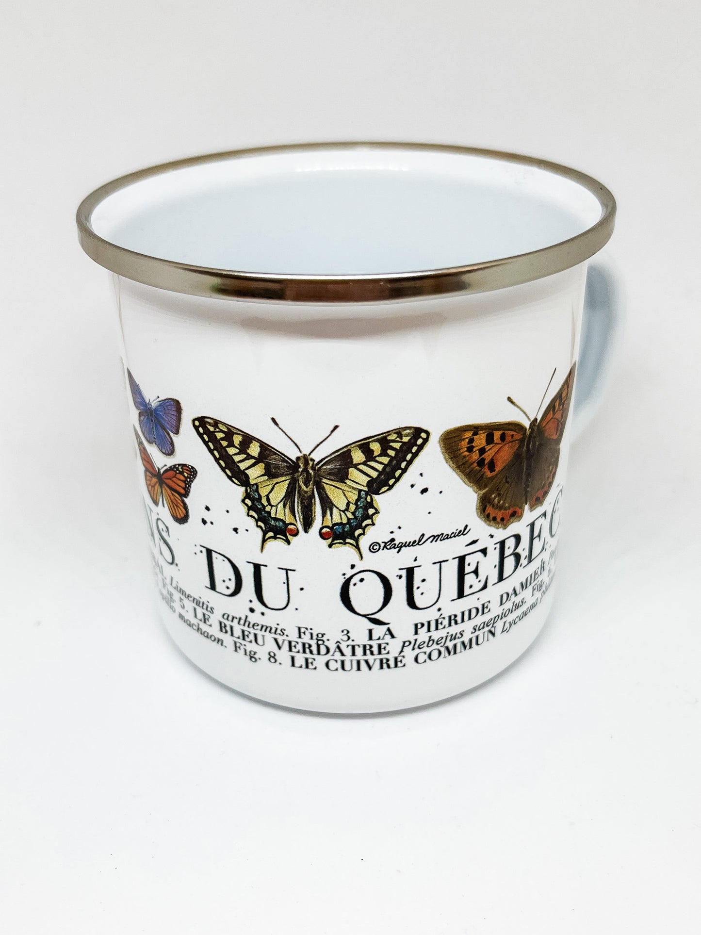 White enamel mug with silver rim and illustrations of butterflies with text below identifying each butterfly