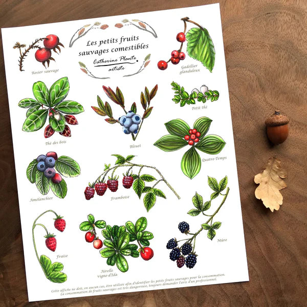 Poster of edible wild berries in French on a wood table