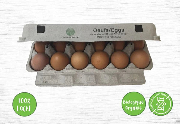 A group of fresh eggs in a carton, showing whole eggs with smooth shells ready for cooking
