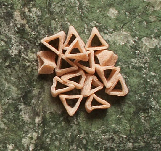 NOOLA PASTA Pâtes artisanales