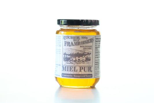 Jar of organic knapweed honey