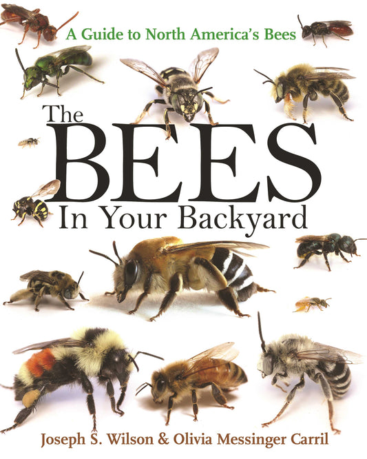 The Bees in Your Backyard book with photo of various types of bees on cover