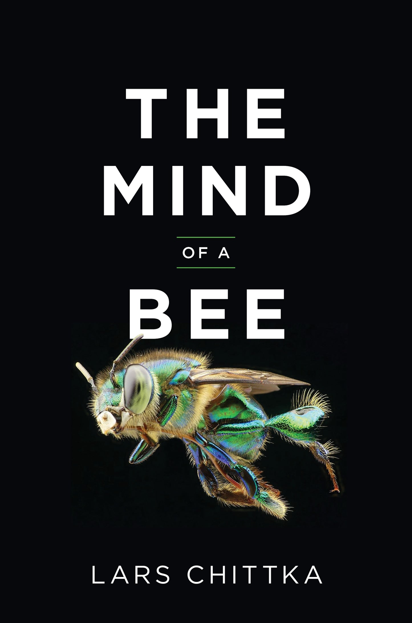 The Mind of a Bee book by Lars Chittka with close up photo of bee on cover