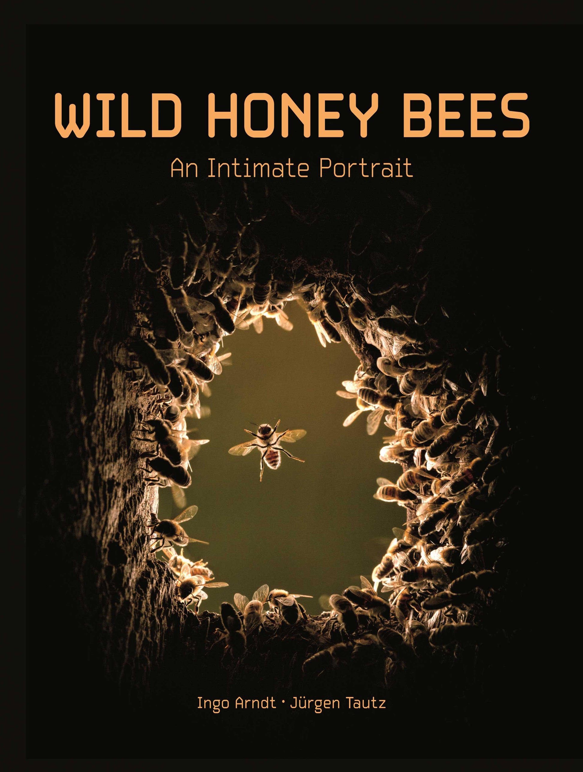 Wild Honey Bees: An Intimate Portrait book with photo of bee flying inside beehive on front cover